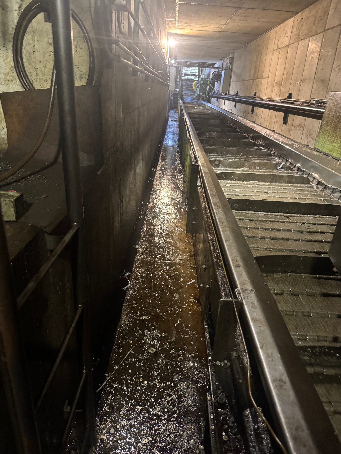 Conveyor pit washdown beneath production line